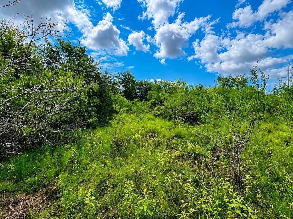 7.31 acres in Colorado County - photo 8