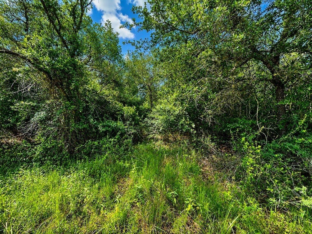 7.31 acres in Colorado County - photo 7