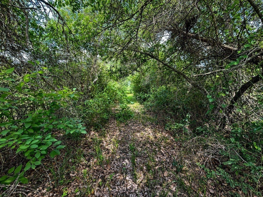 7.31 acres in Colorado County - photo 9