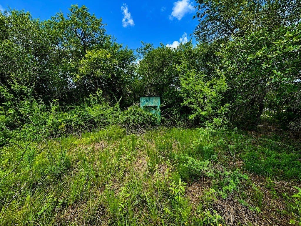 7.31 acres in Colorado County gallery image 3