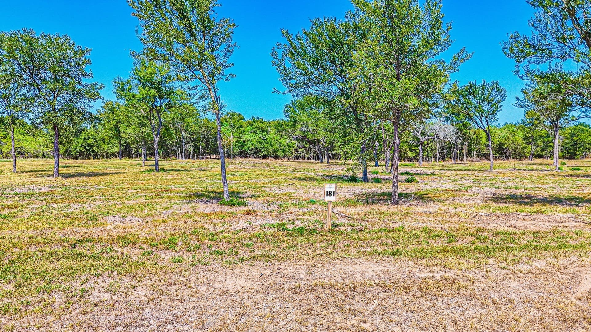 4.39 acres in Navarro County - photo 5