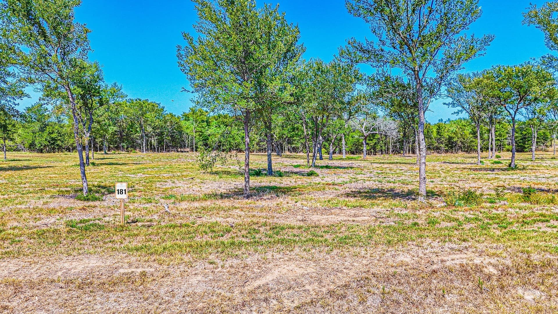 4.39 acres in Navarro County - photo 4