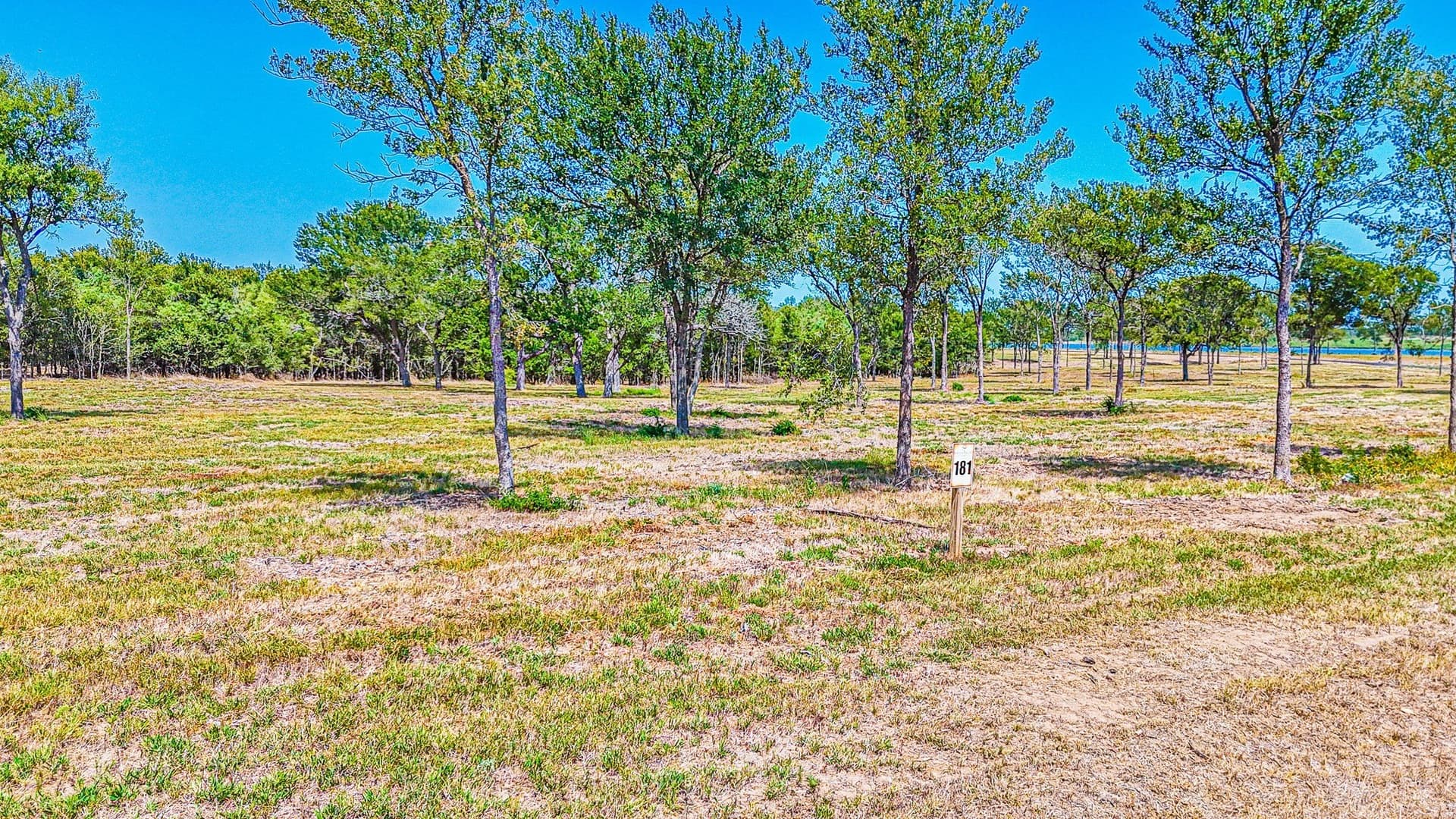 4.39 acres in Navarro County - photo 6