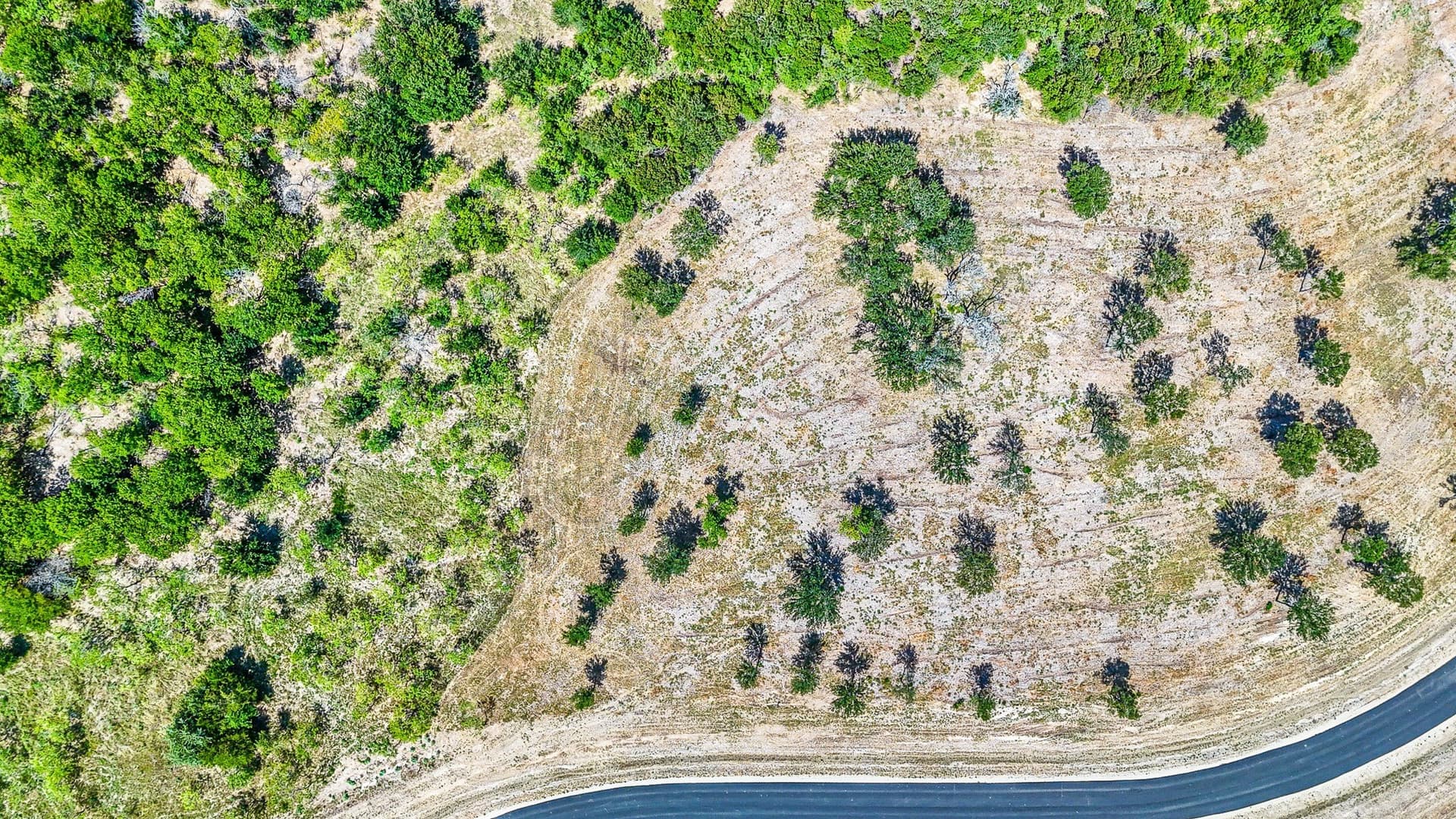4.39 acres in Navarro County - photo 16