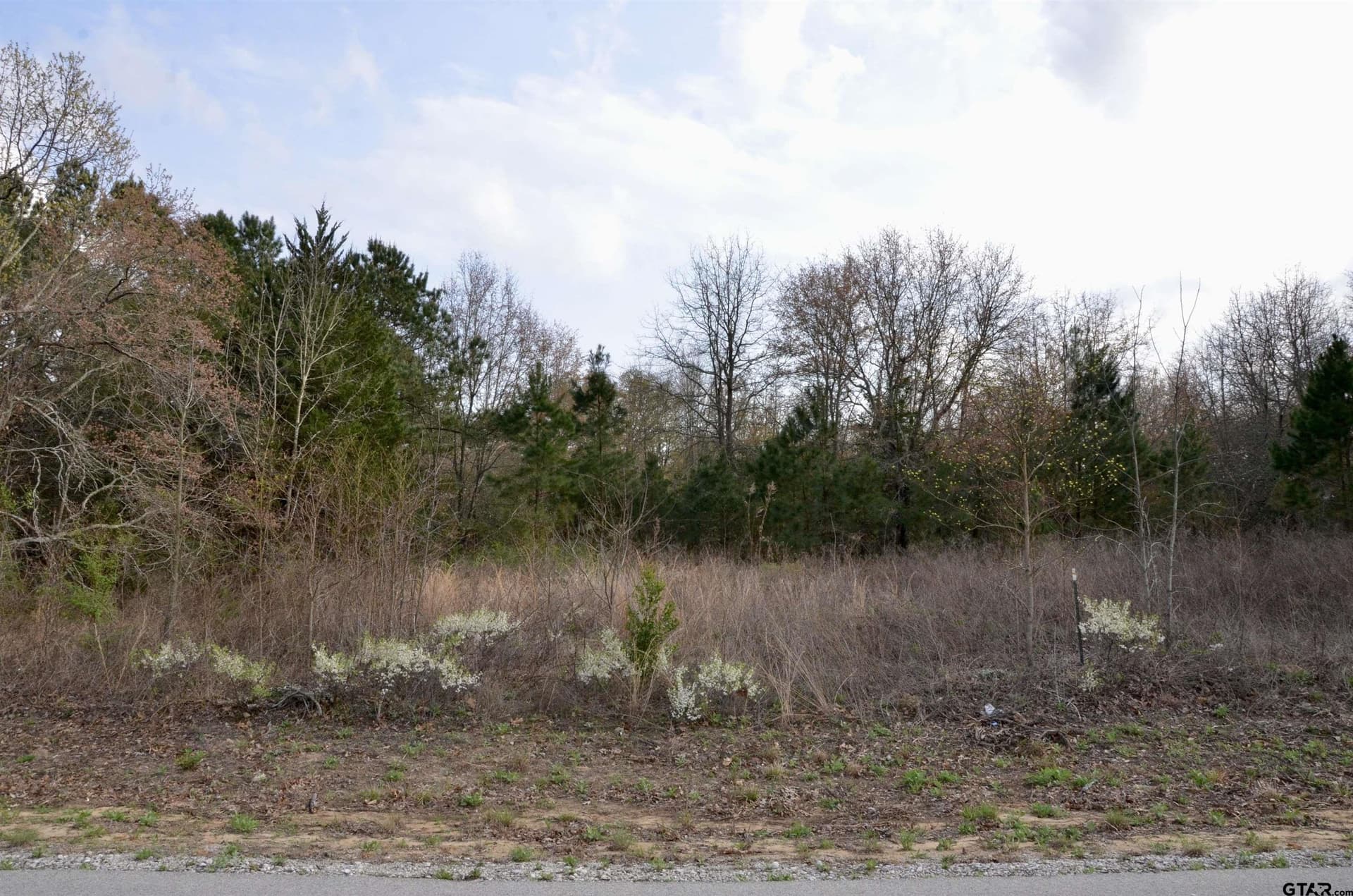 0.5 acres in Wood County - photo 6