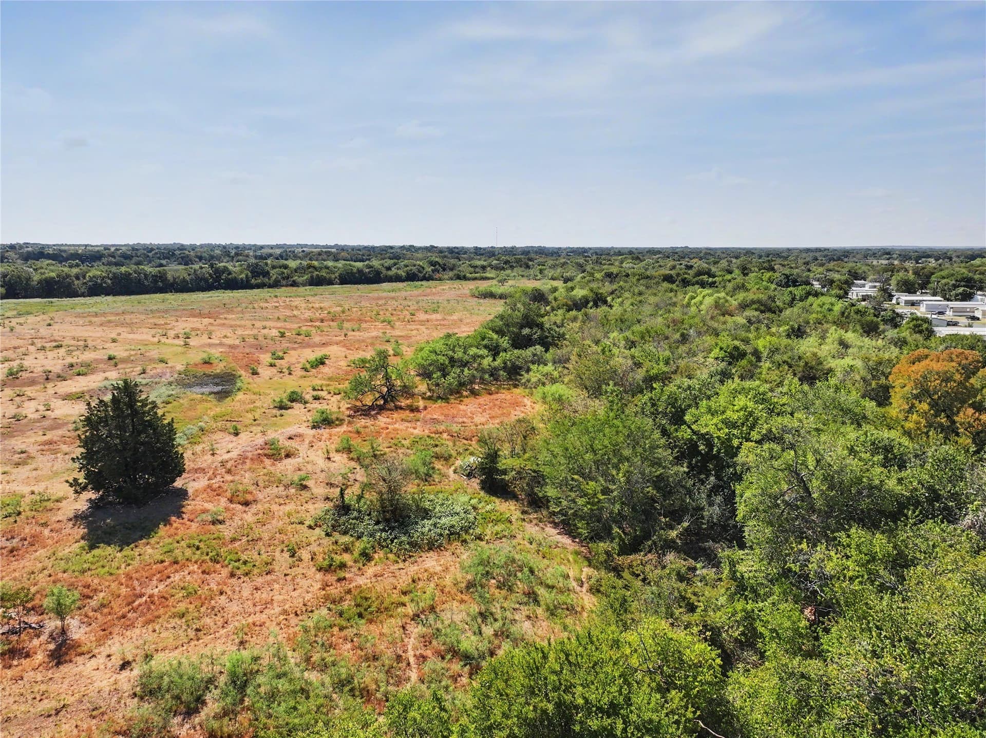 57 acres in Navarro County - photo 4