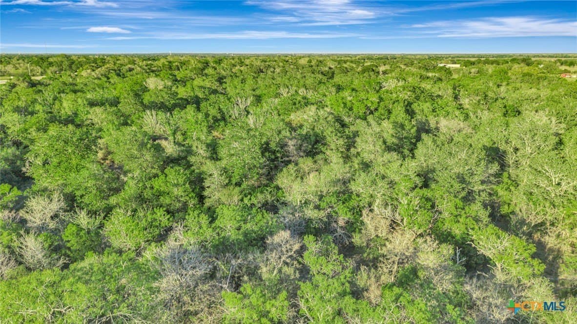 33.13 acres in DeWitt County - photo 7