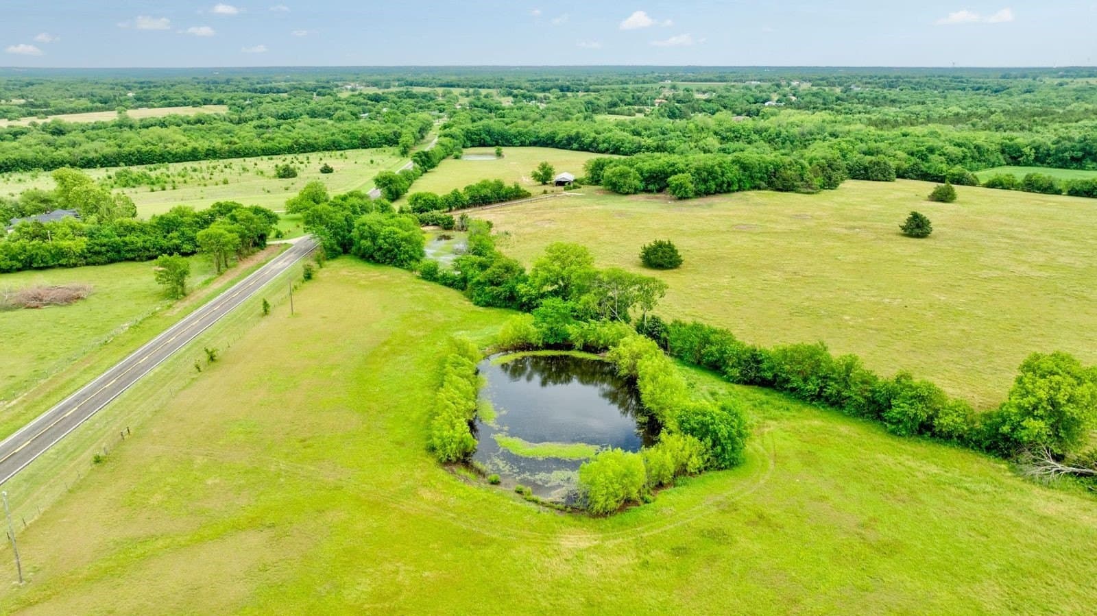 8 acres in Fannin County gallery image 2