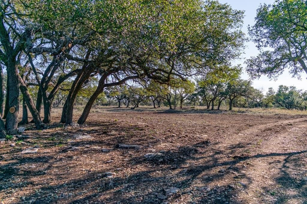 10.04 acres in Blanco County - photo 8