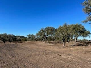 10.04 acres in Blanco County - photo 7