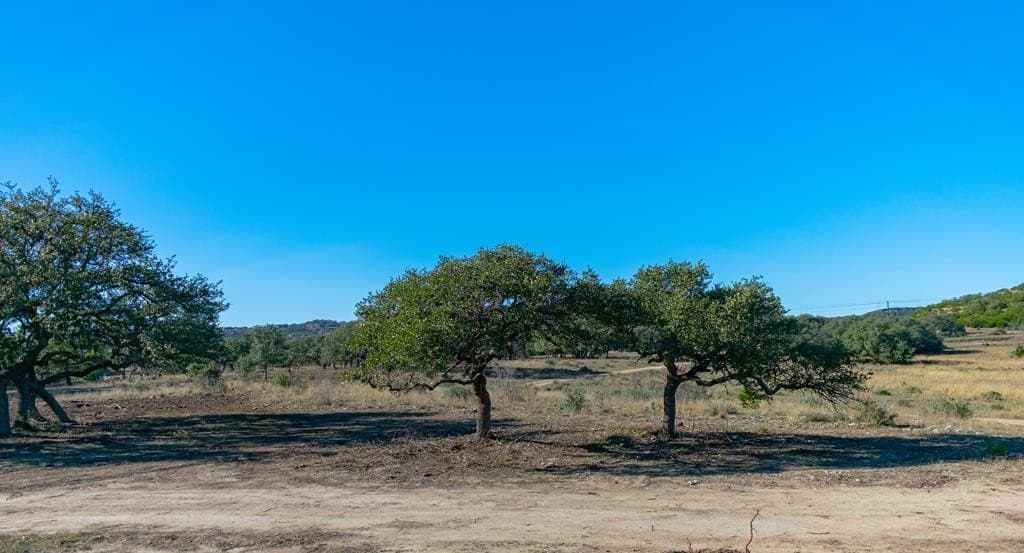10.04 acres in Blanco County - photo 15
