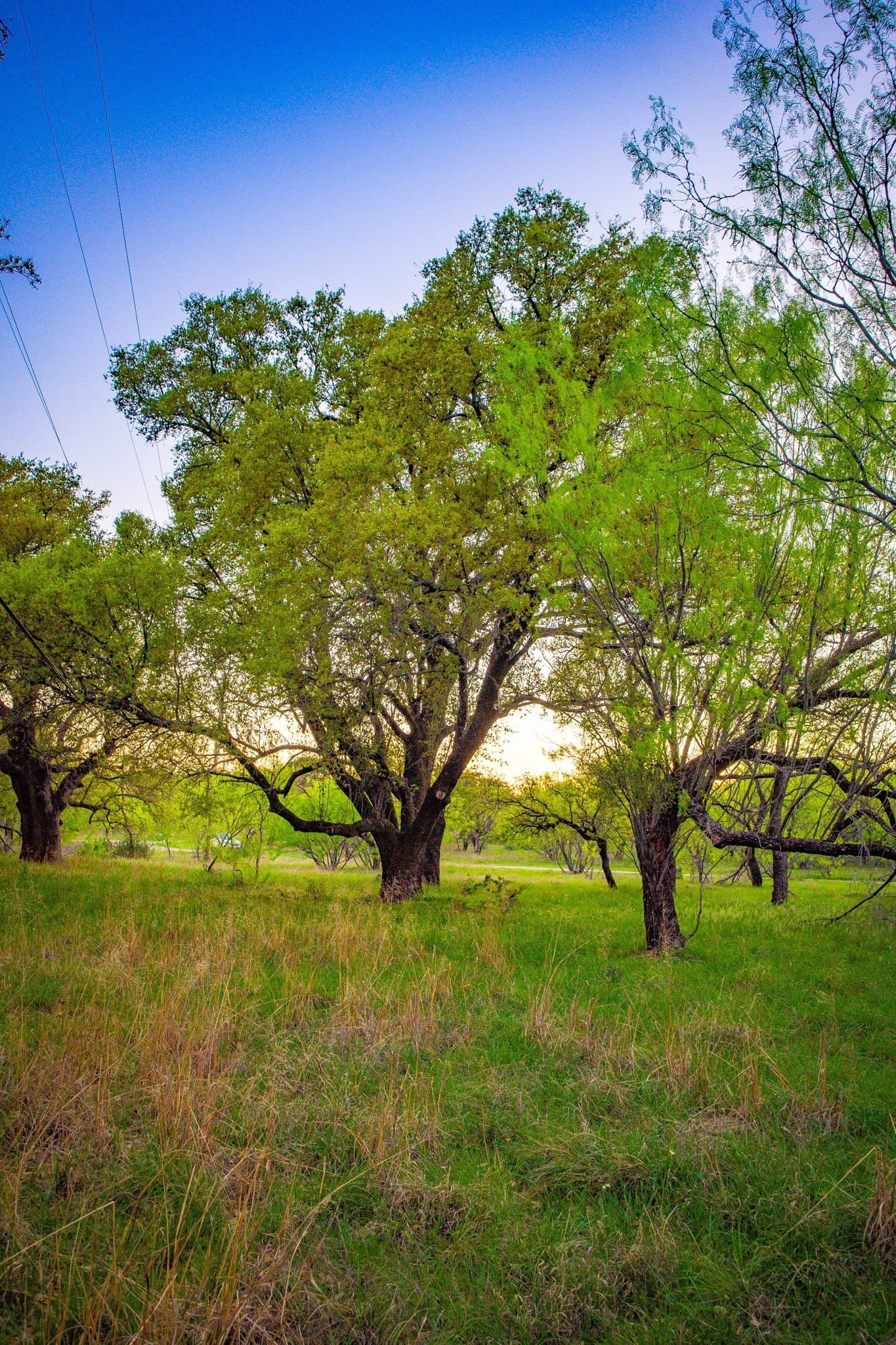 0.79 acres in Palo Pinto County - photo 27