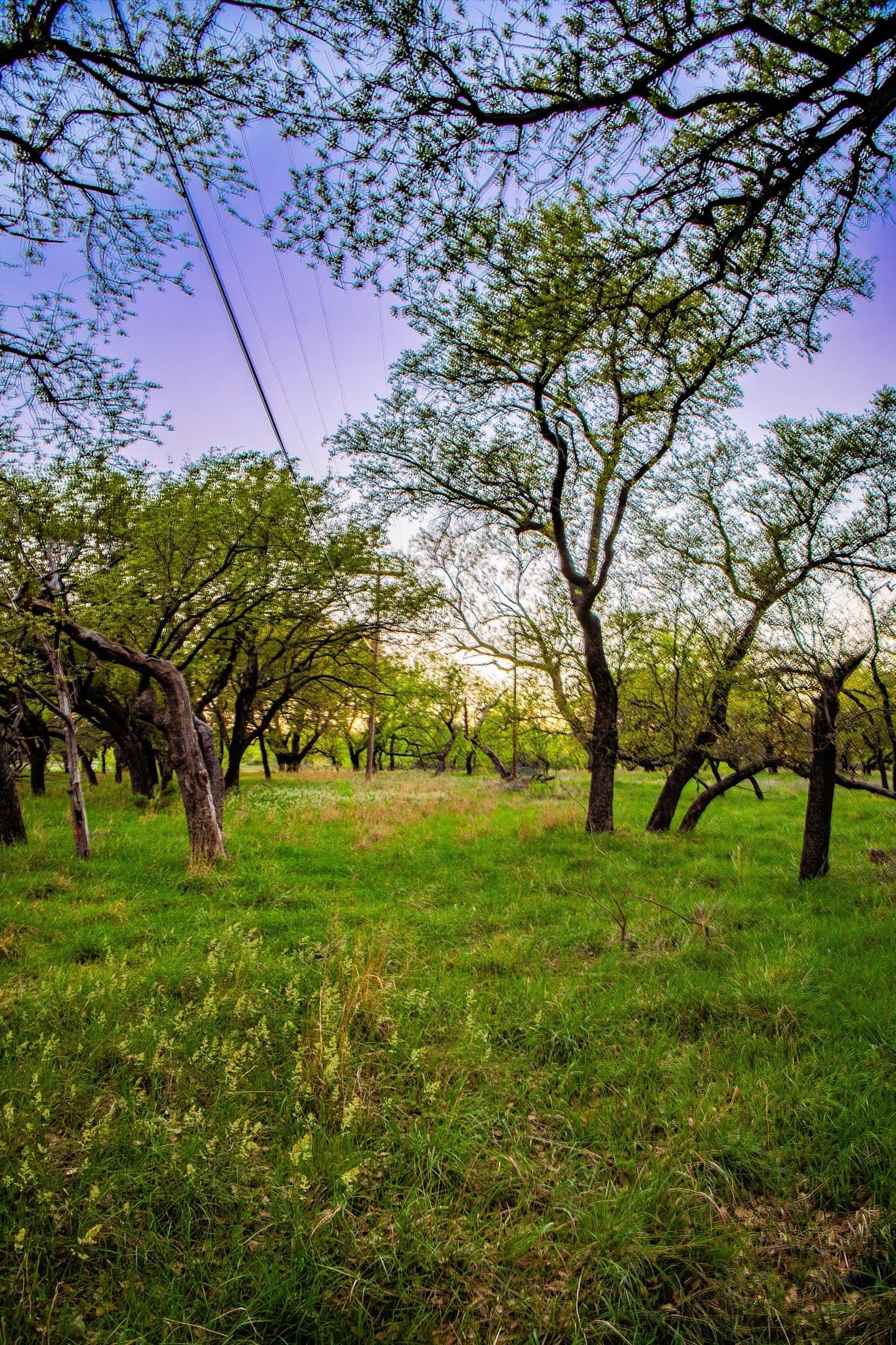 0.79 acres in Palo Pinto County - photo 20