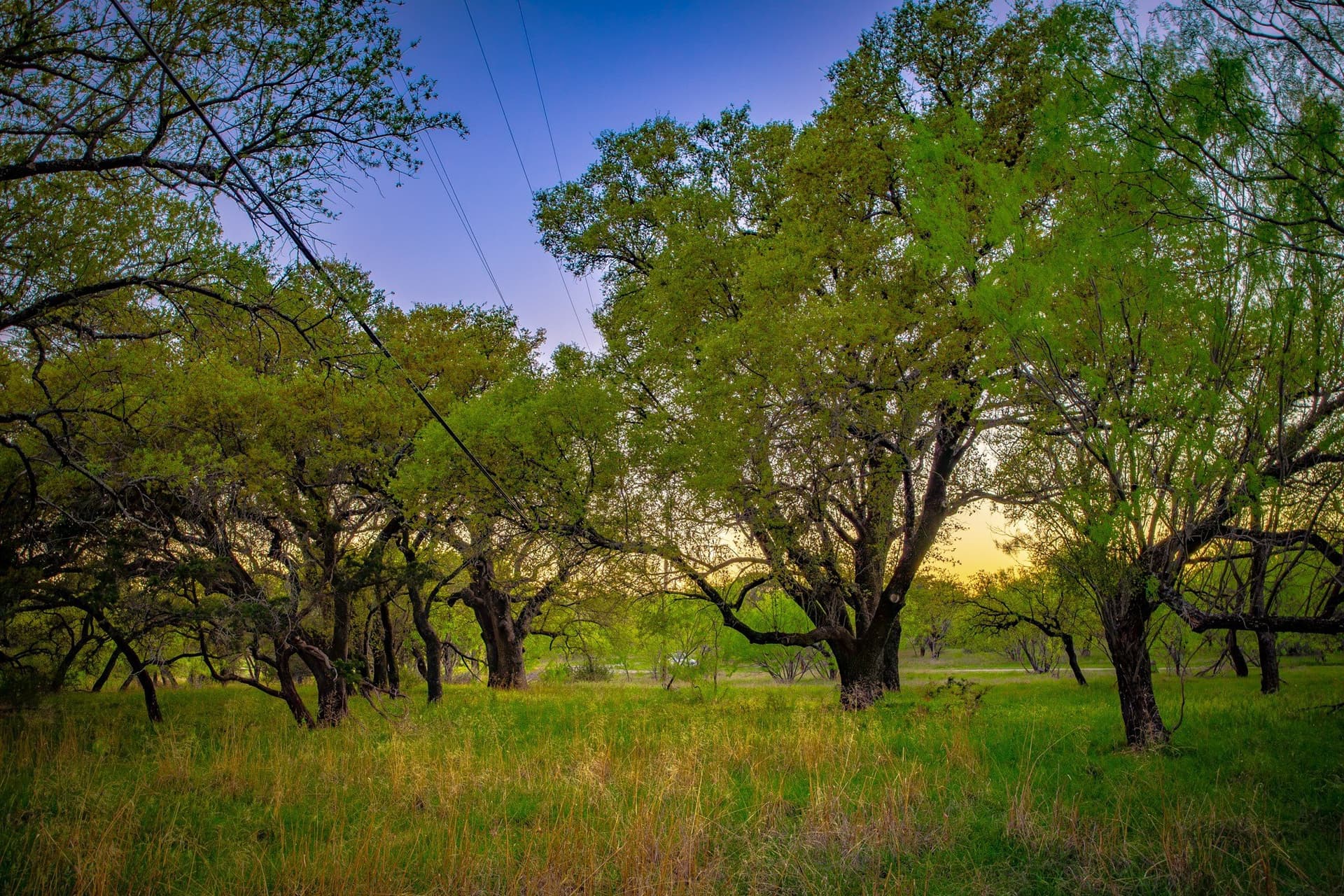 0.79 acres in Palo Pinto County - photo 13