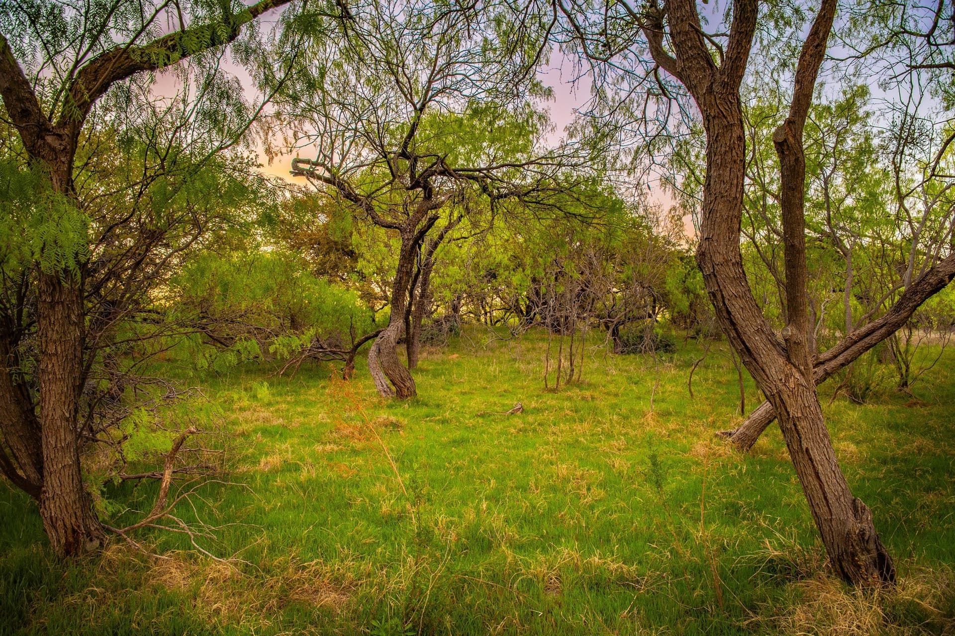 0.79 acres in Palo Pinto County - photo 22