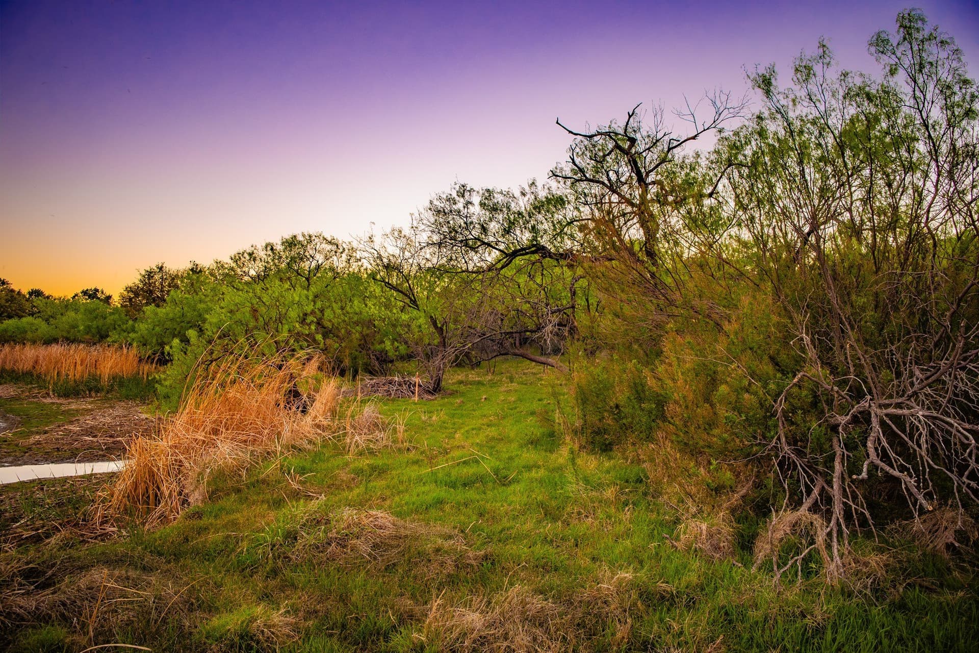 0.79 acres in Palo Pinto County - photo 23
