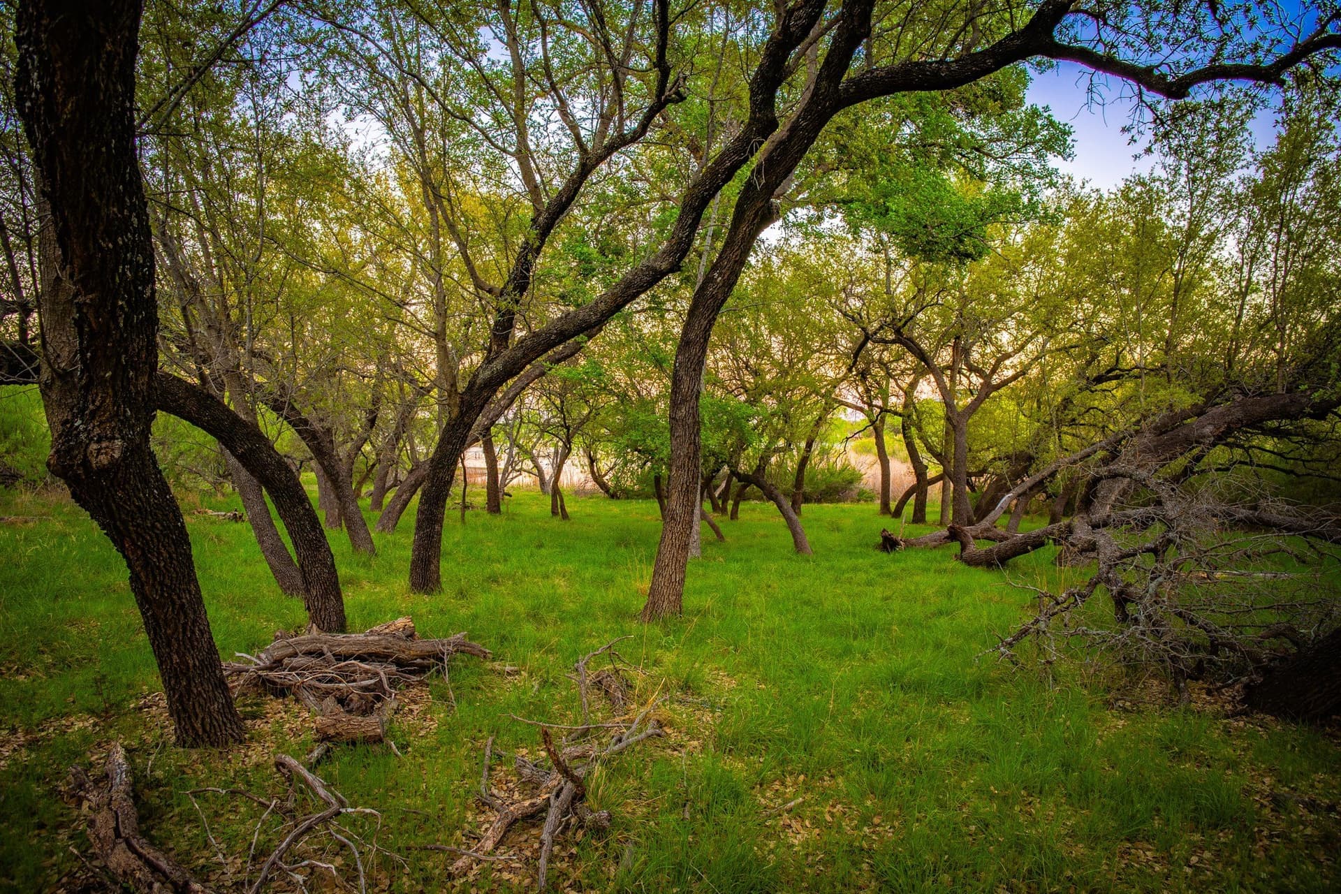 0.79 acres in Palo Pinto County - photo 26
