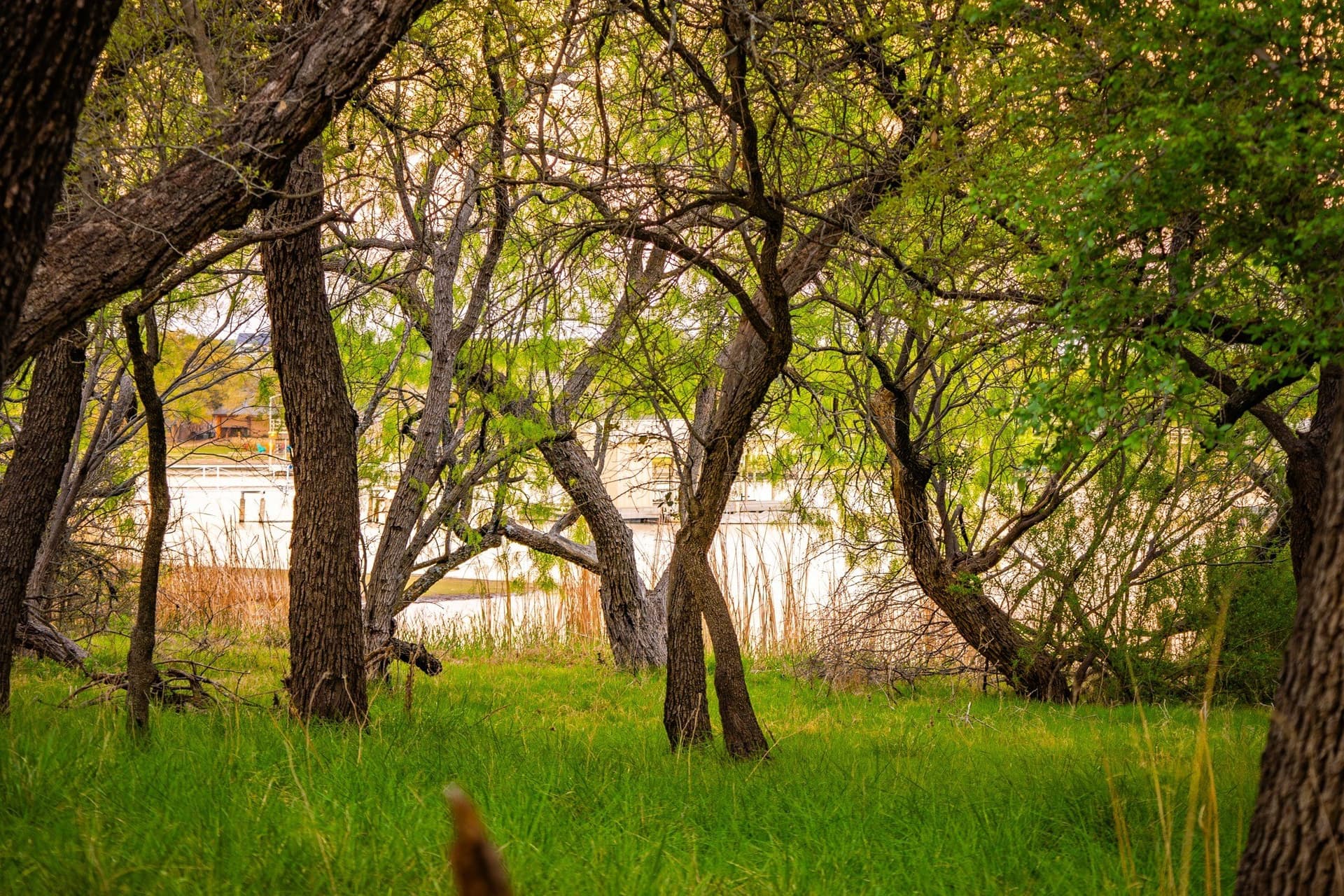 0.79 acres in Palo Pinto County - photo 30