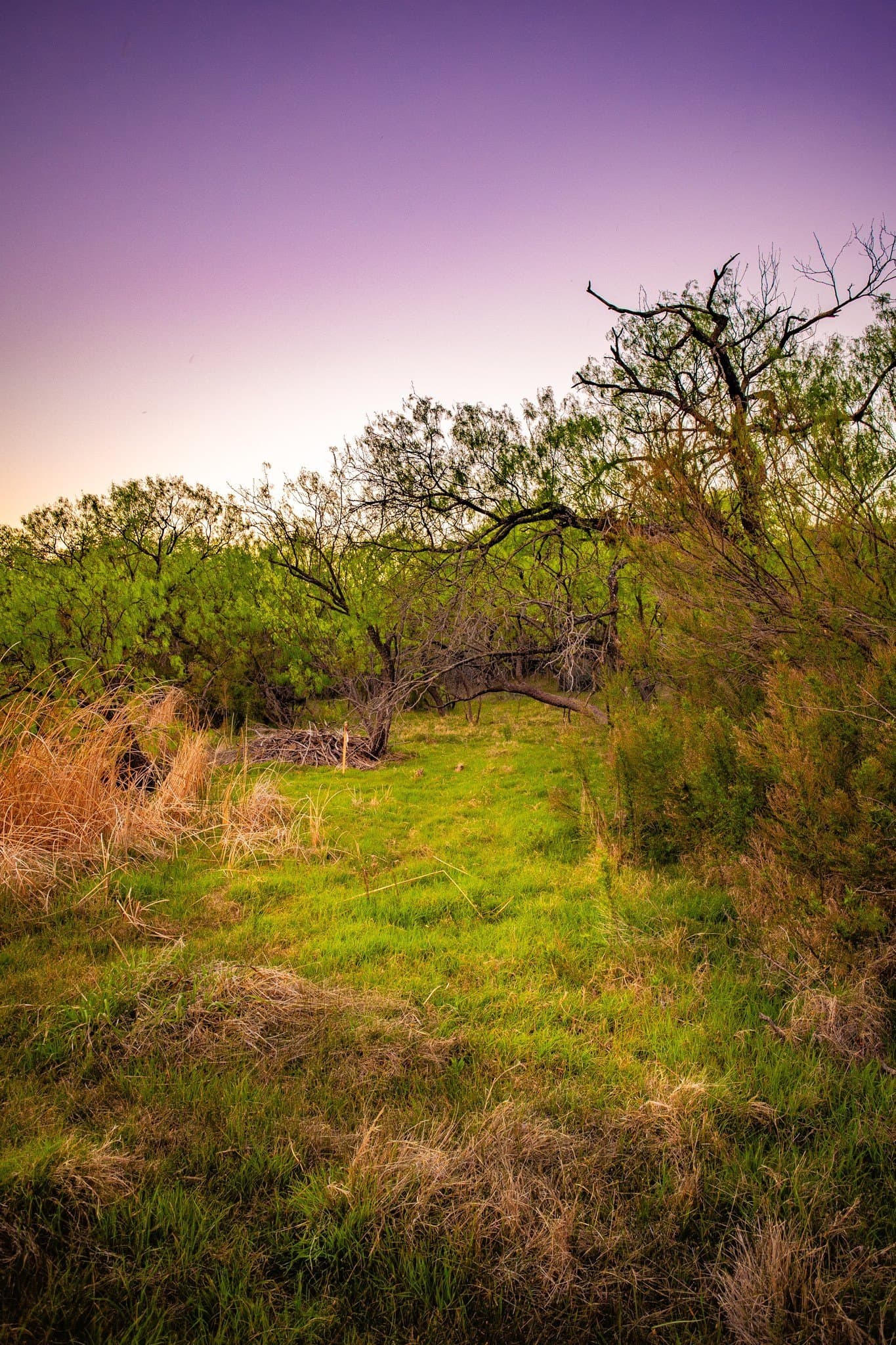 0.79 acres in Palo Pinto County - photo 24