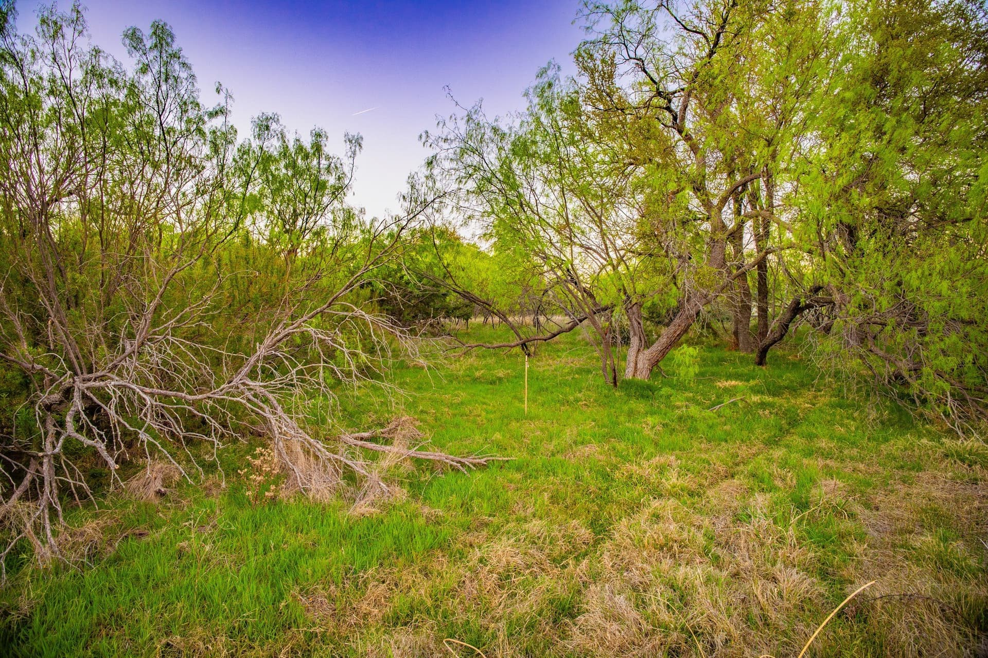 0.79 acres in Palo Pinto County - photo 29