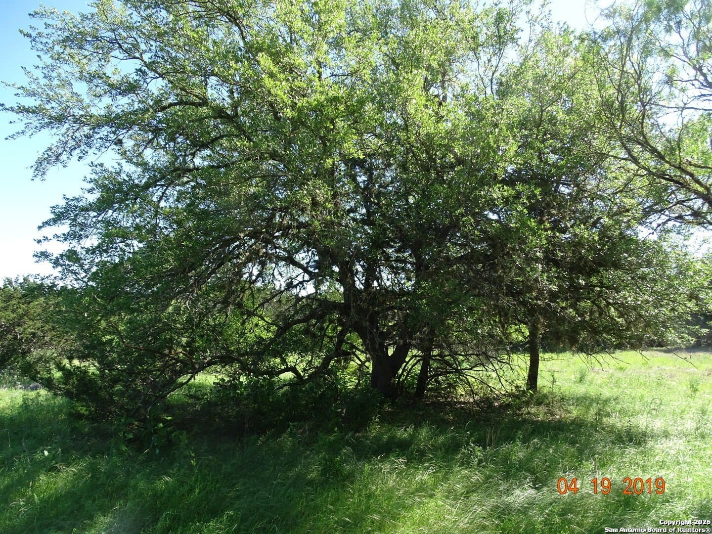 3.35 acres in Bandera County gallery image 3