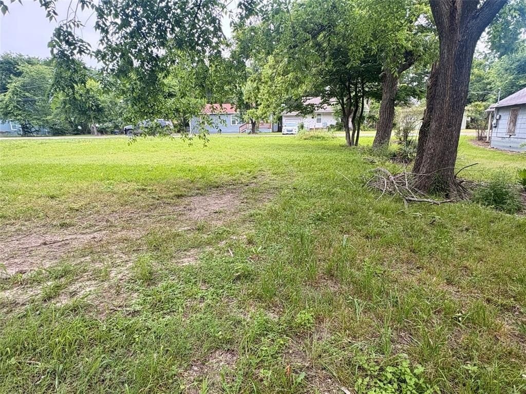 0.29 acres in Fannin County gallery image 2