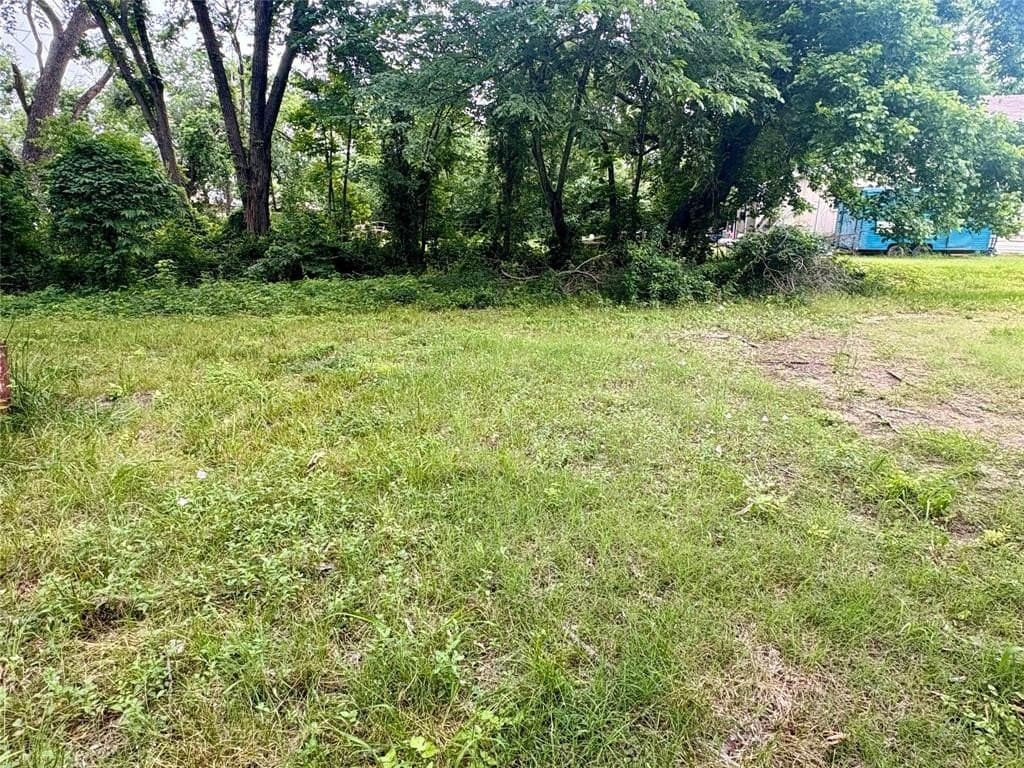 0.29 acres in Fannin County gallery image 3