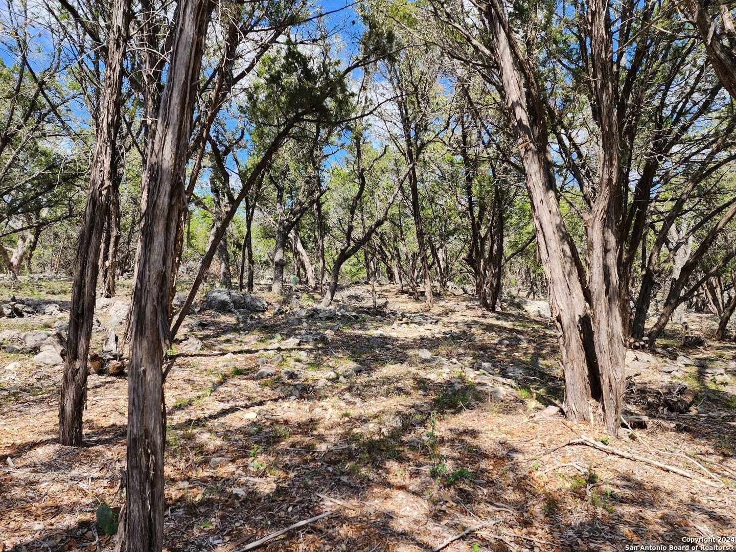 0.73 acres in Comal County - photo 10