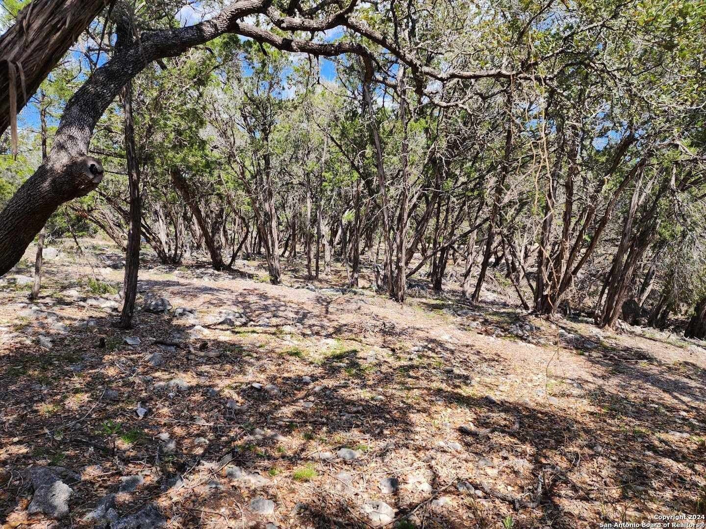 0.73 acres in Comal County - photo 9