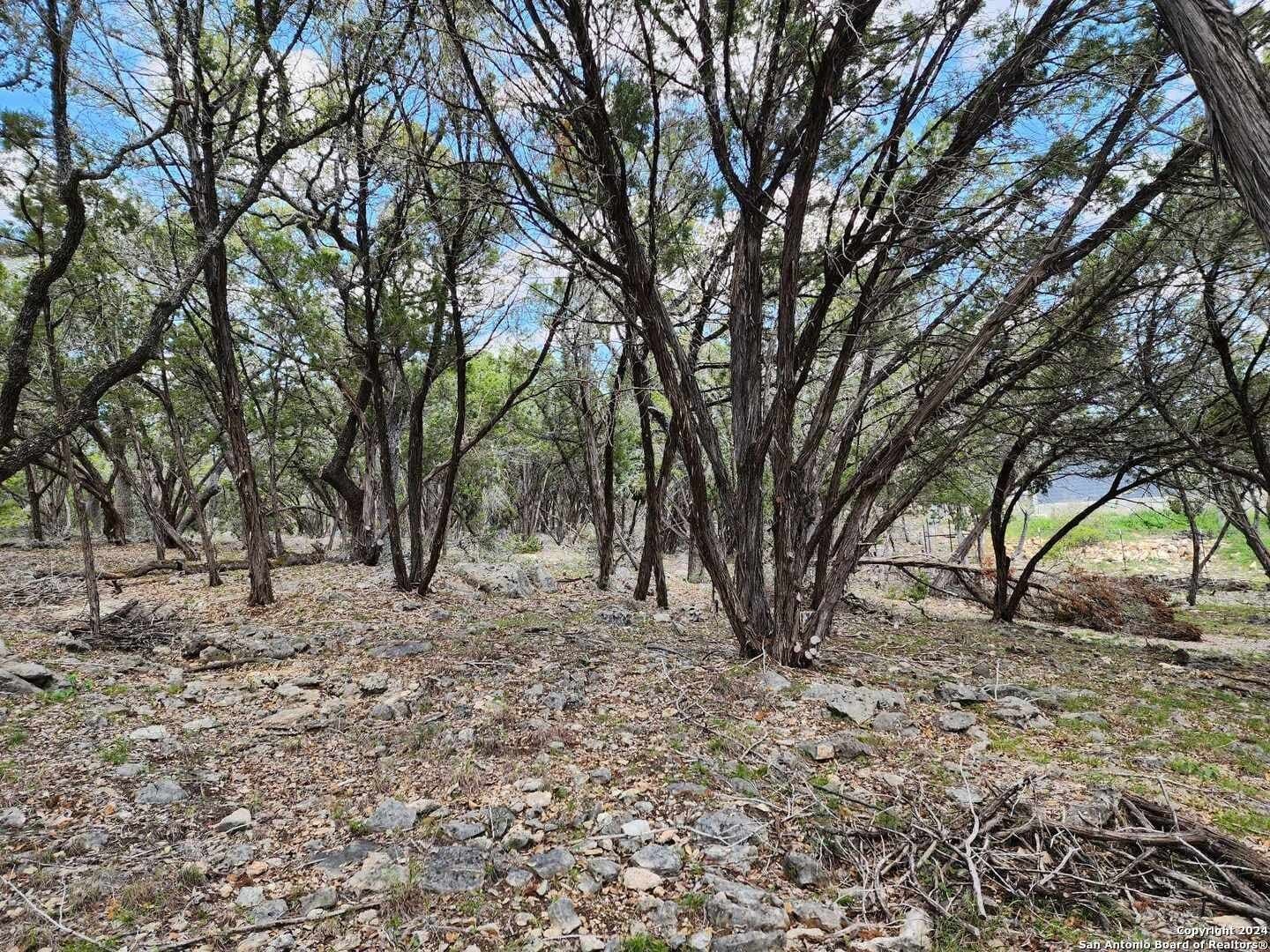 0.73 acres in Comal County - photo 12