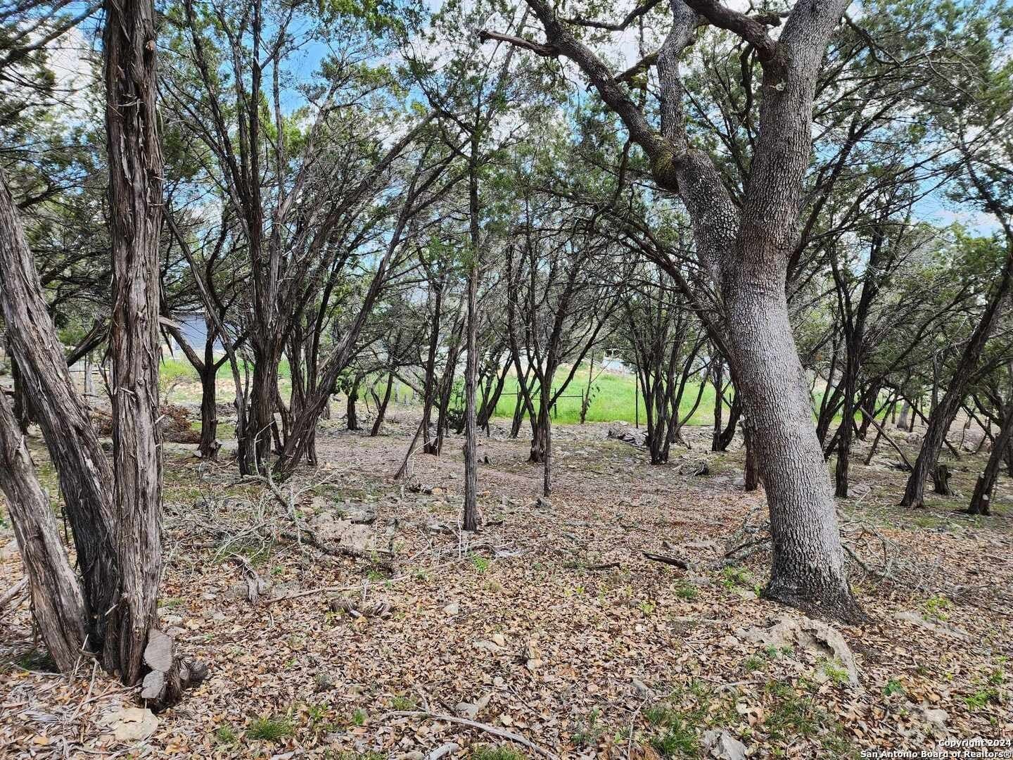 0.73 acres in Comal County gallery image 3