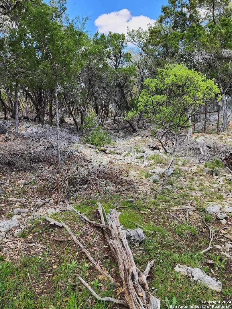 0.73 acres in Comal County - photo 7