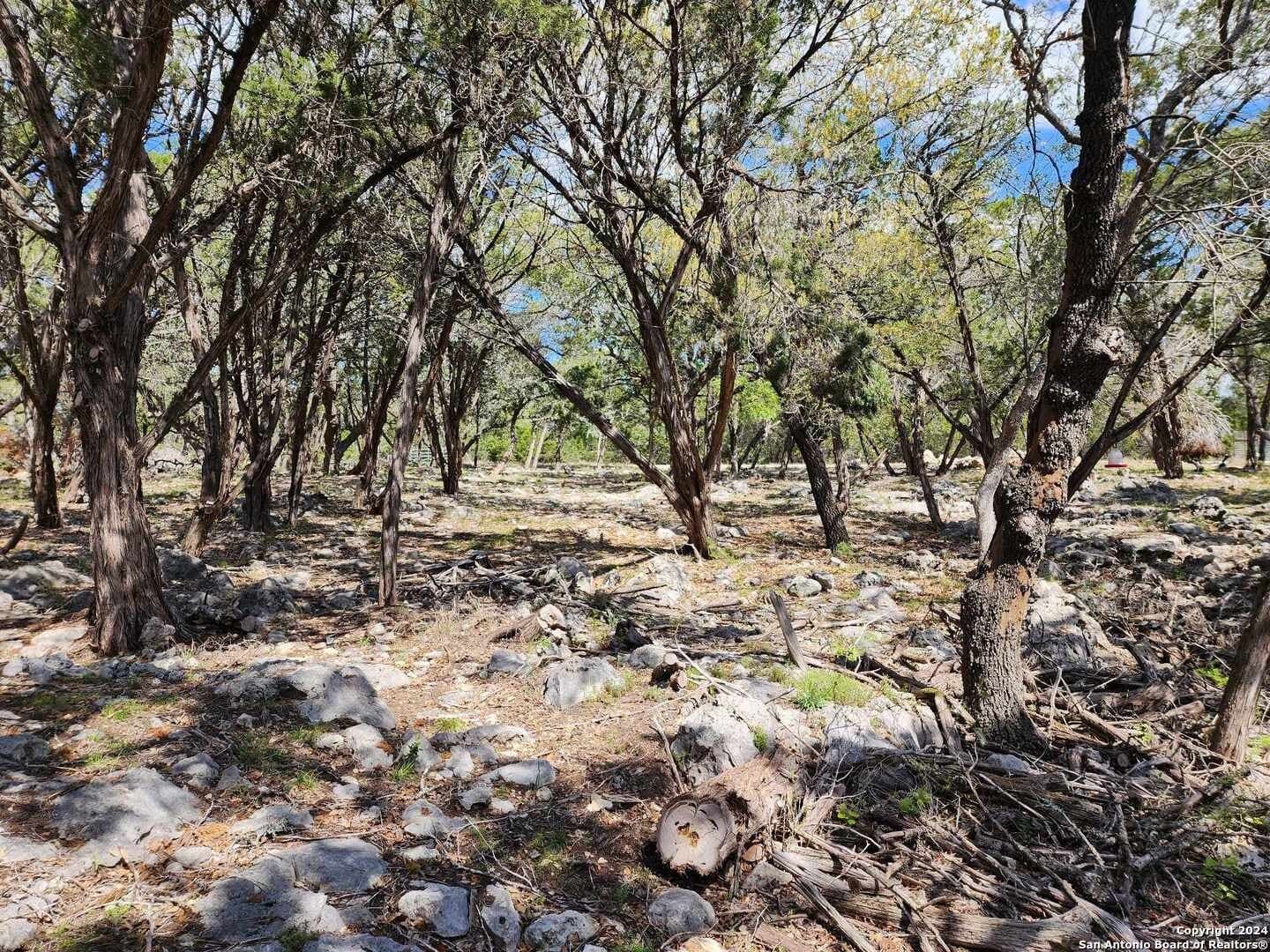 0.73 acres in Comal County - photo 15