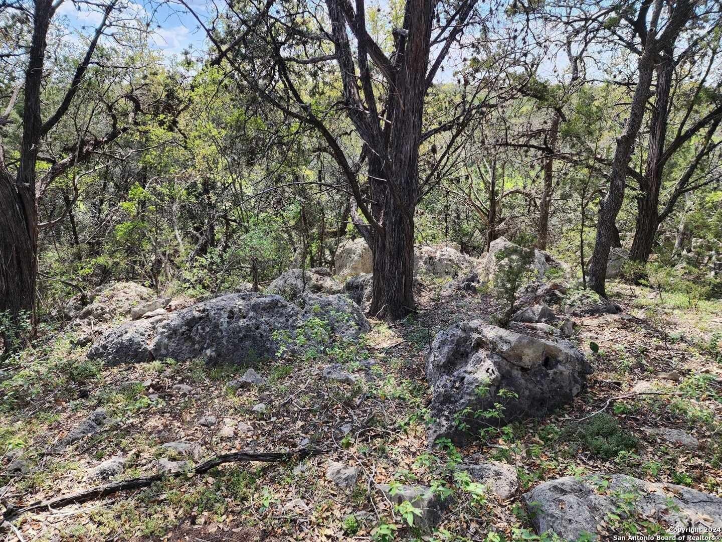 0.73 acres in Comal County - photo 6