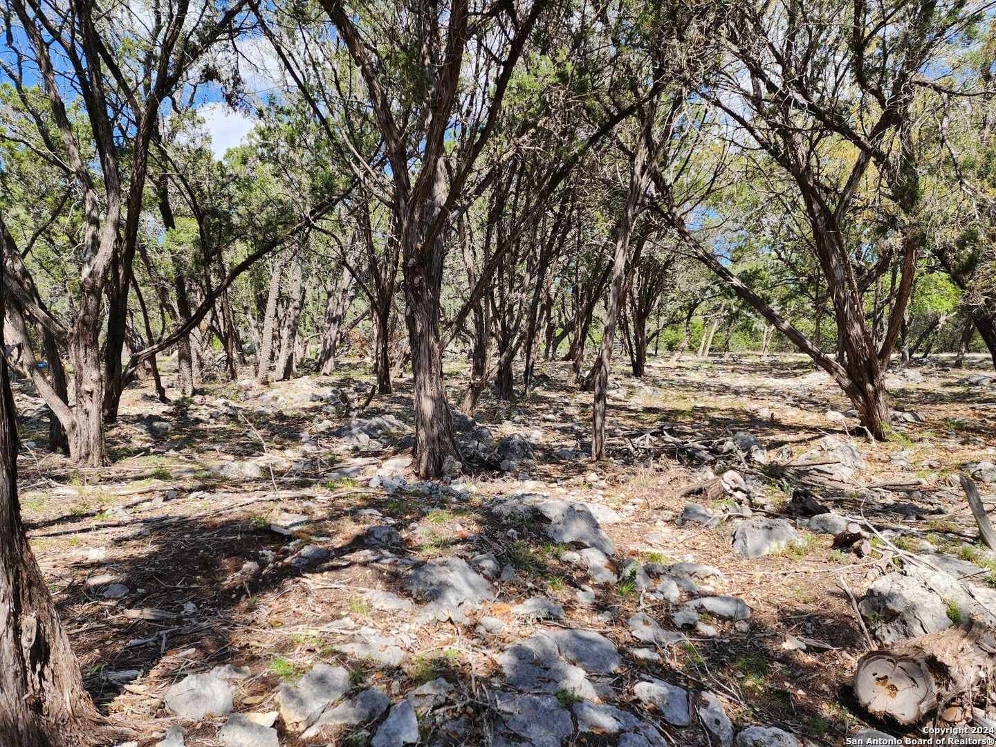 0.73 acres in Comal County - photo 11