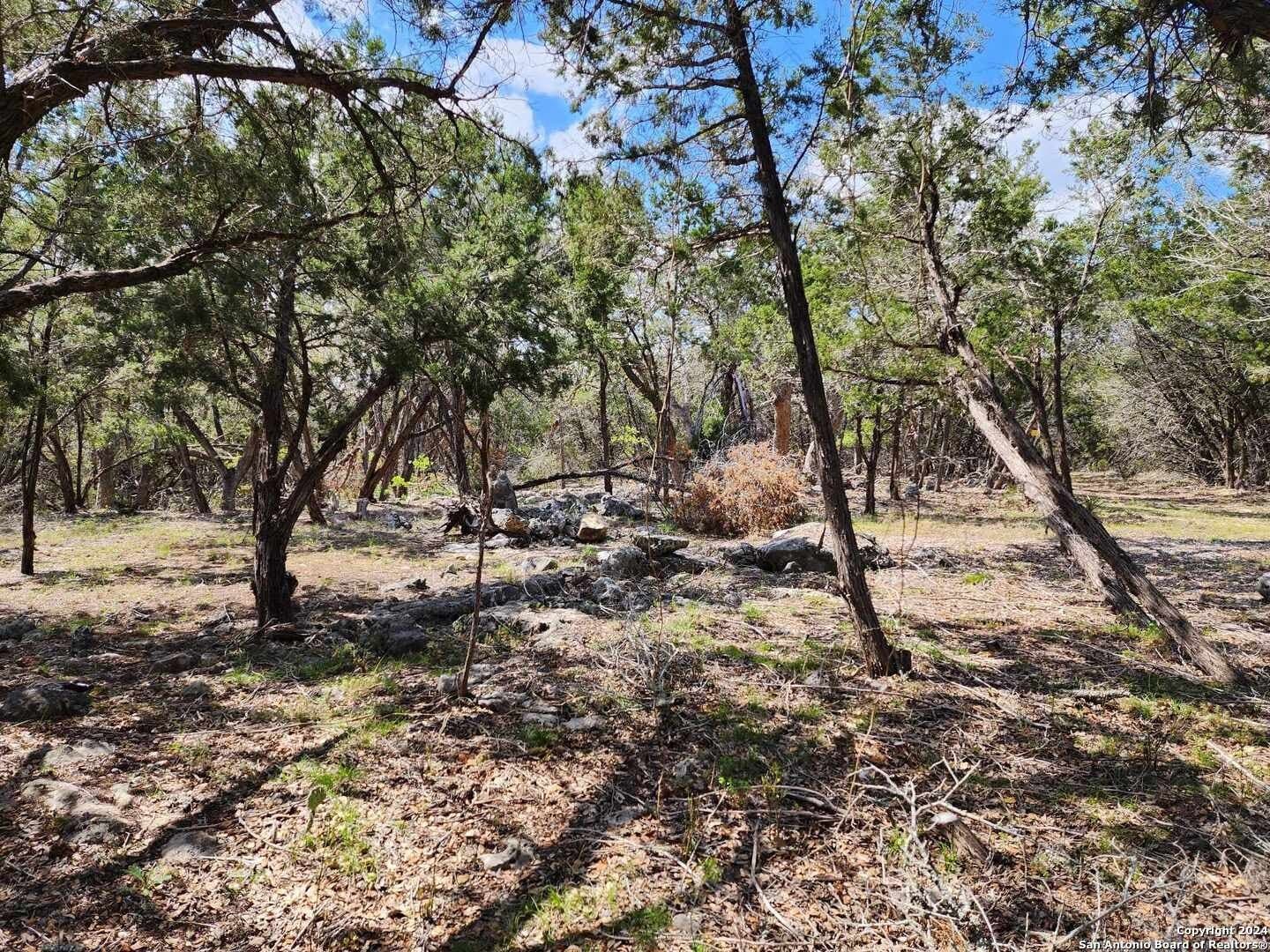 0.73 acres in Comal County - photo 13