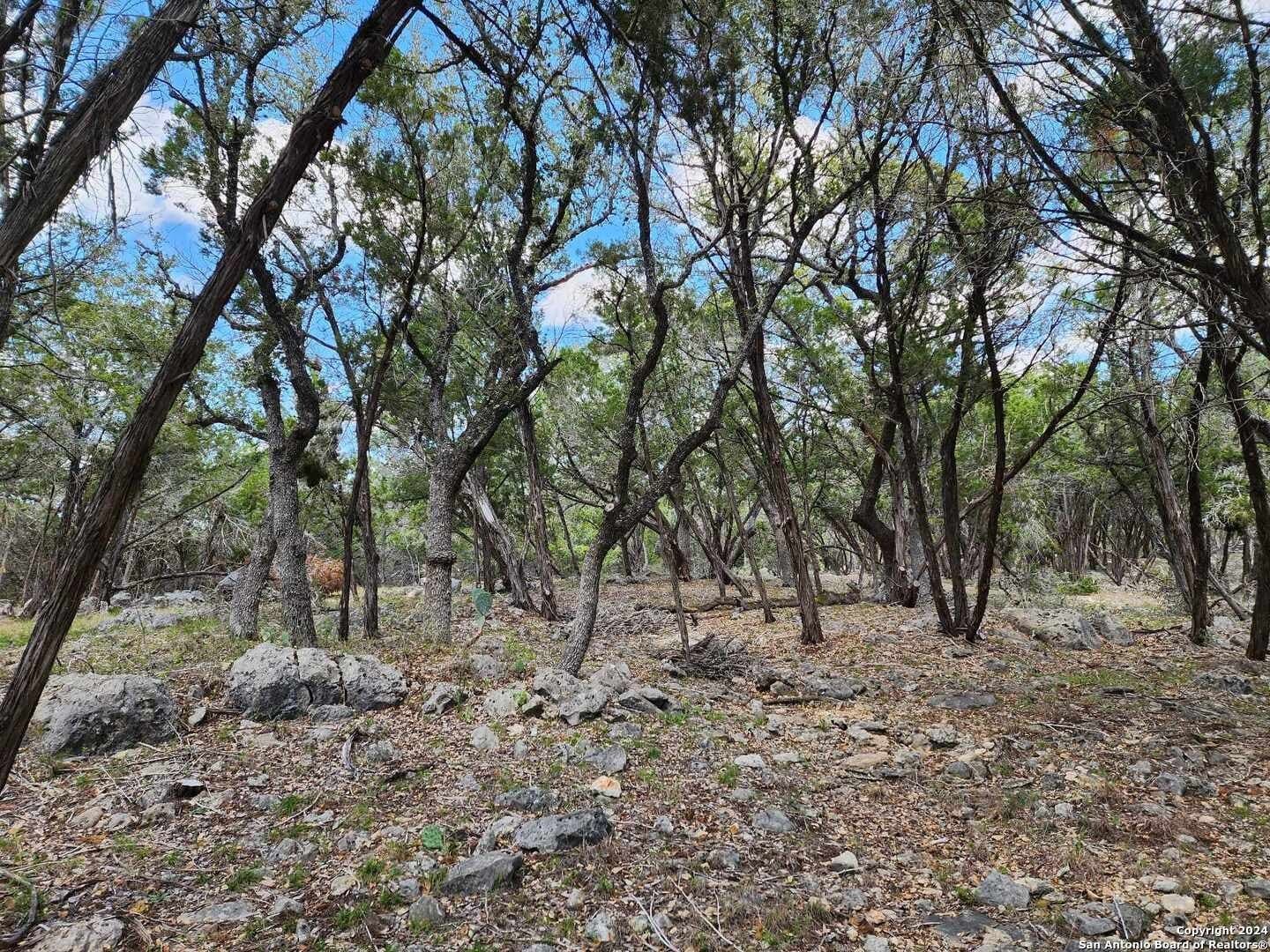 0.73 acres in Comal County featured view