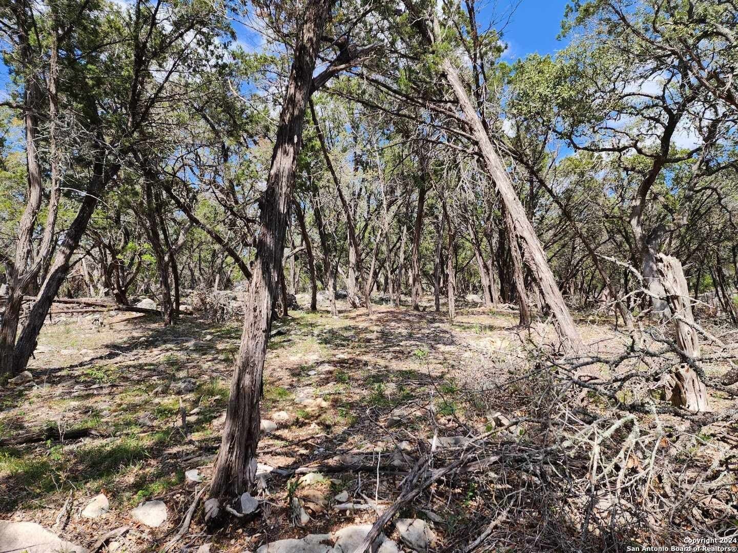 0.73 acres in Comal County - photo 8
