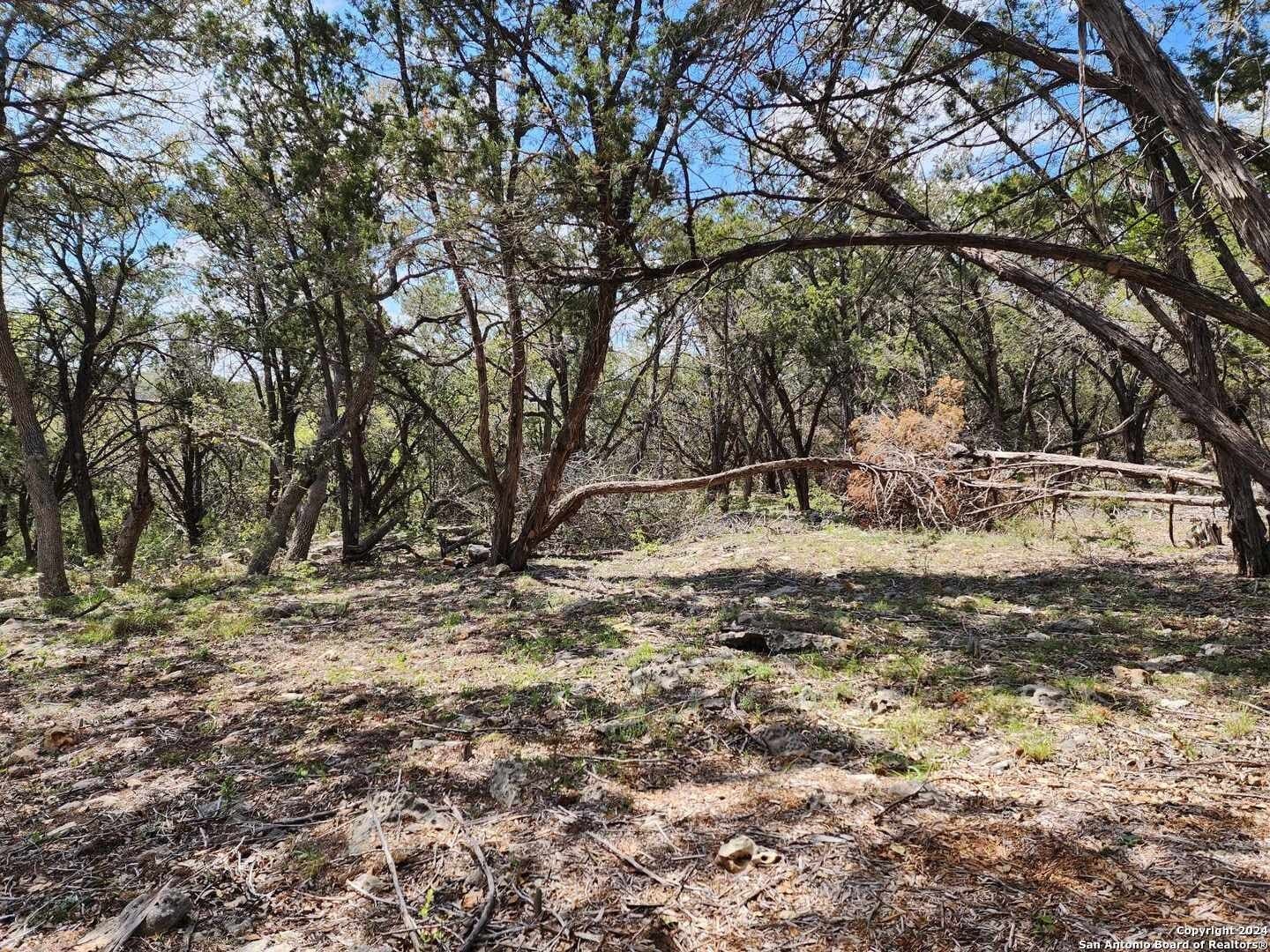 0.73 acres in Comal County - photo 14