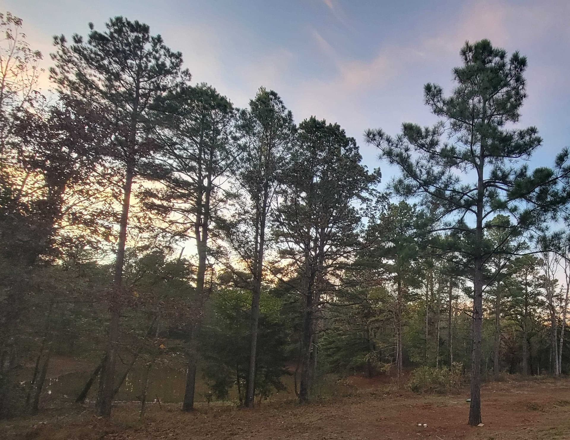 21.43 acres in Smith County