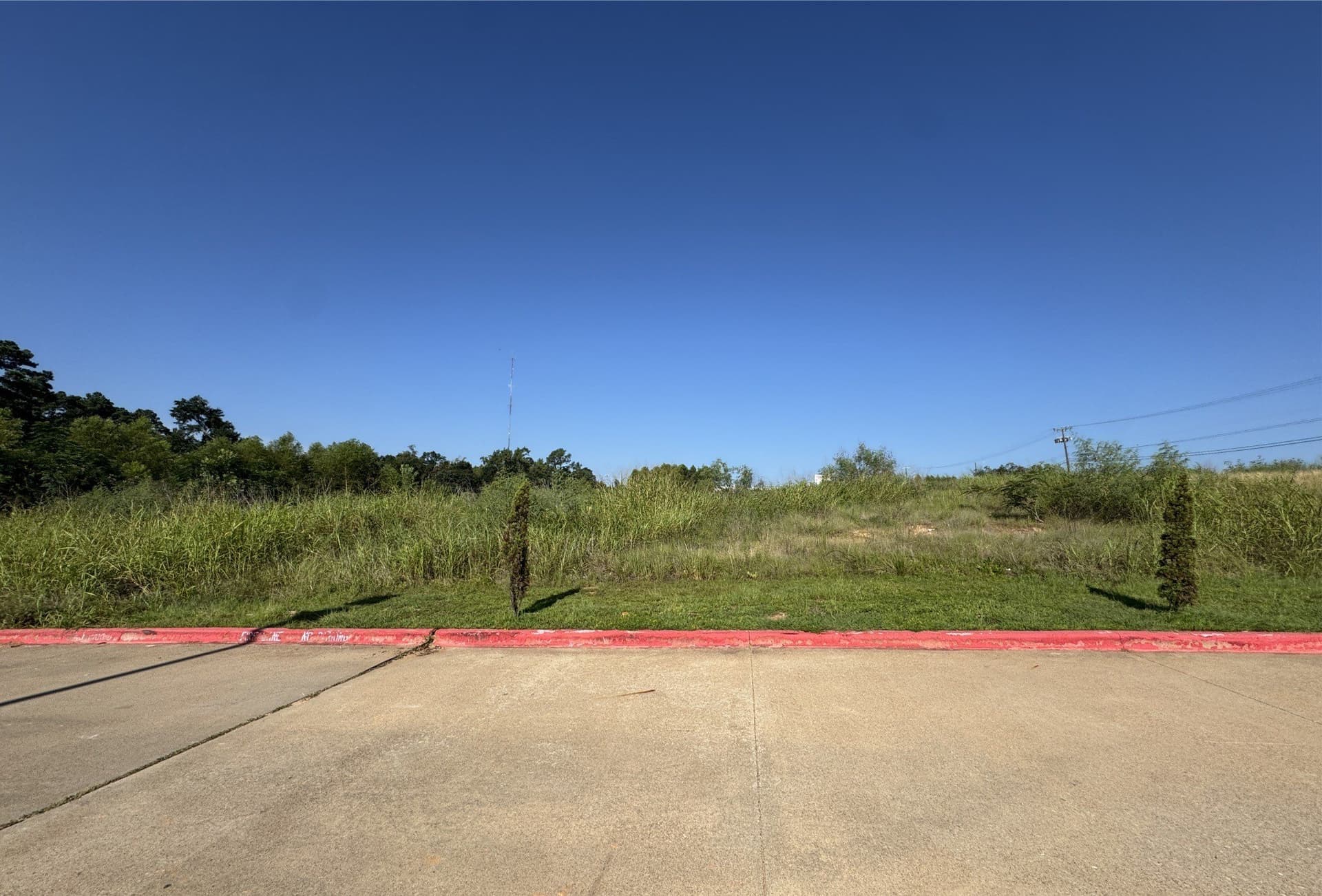 1.5 acres in Anderson County - photo 13