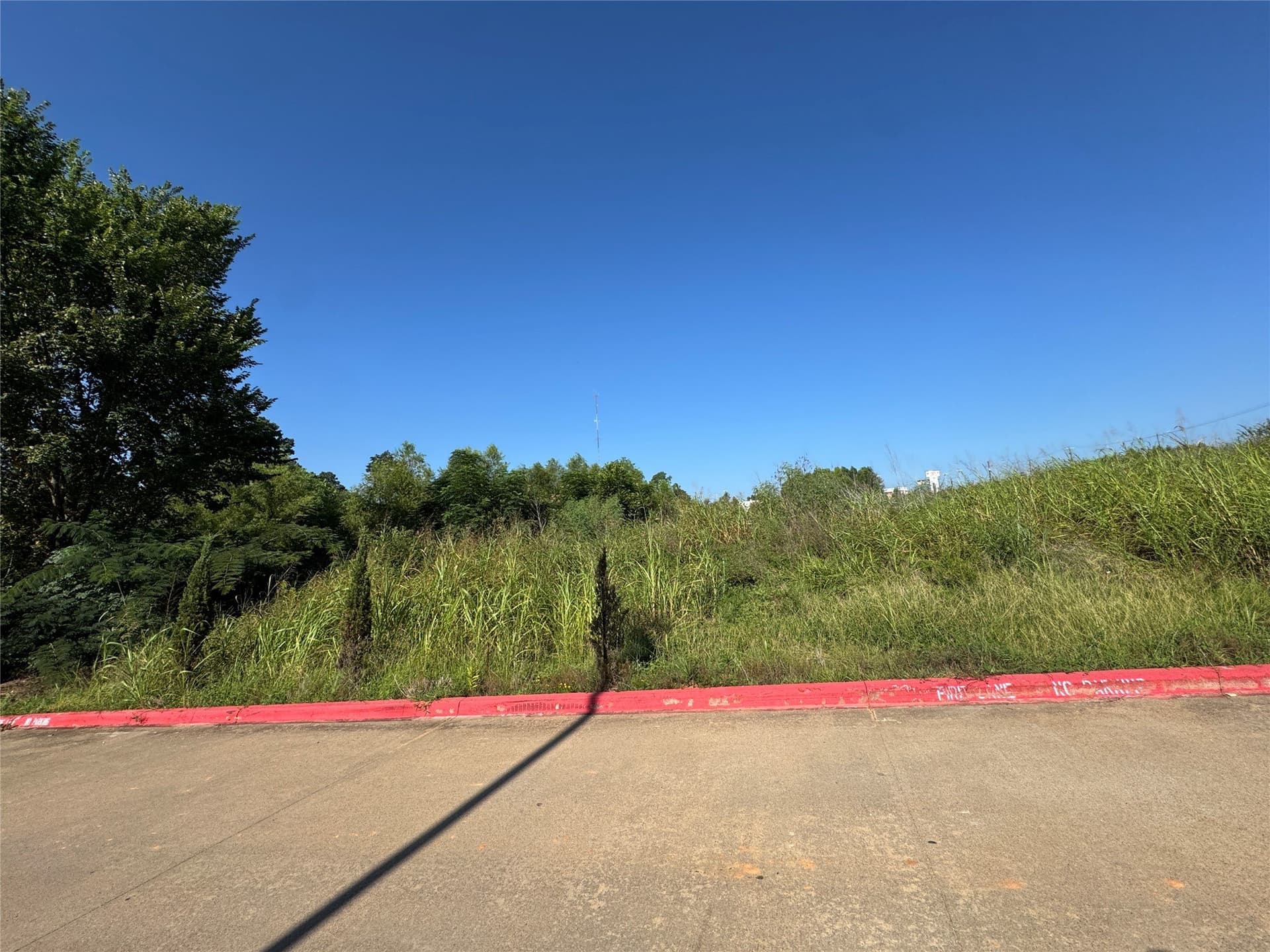 1.5 acres in Anderson County - photo 14