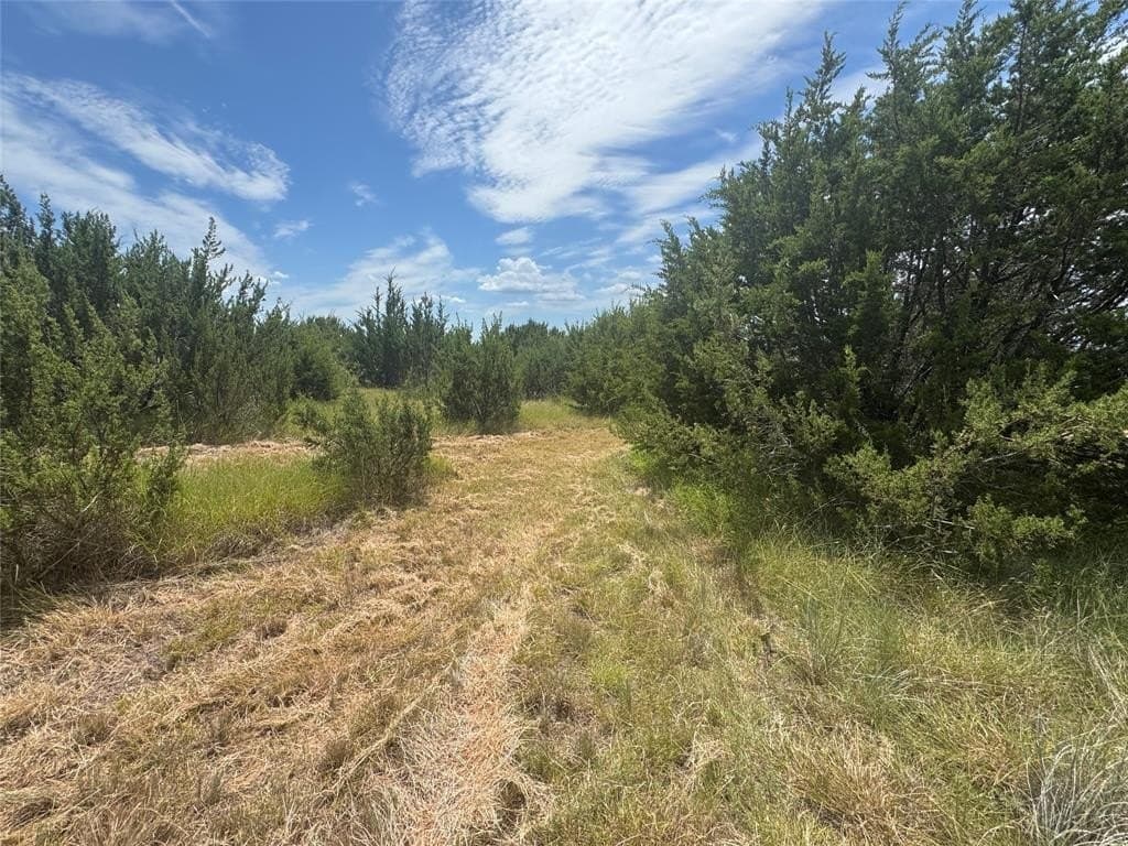 10.01 acres in Hood County featured view