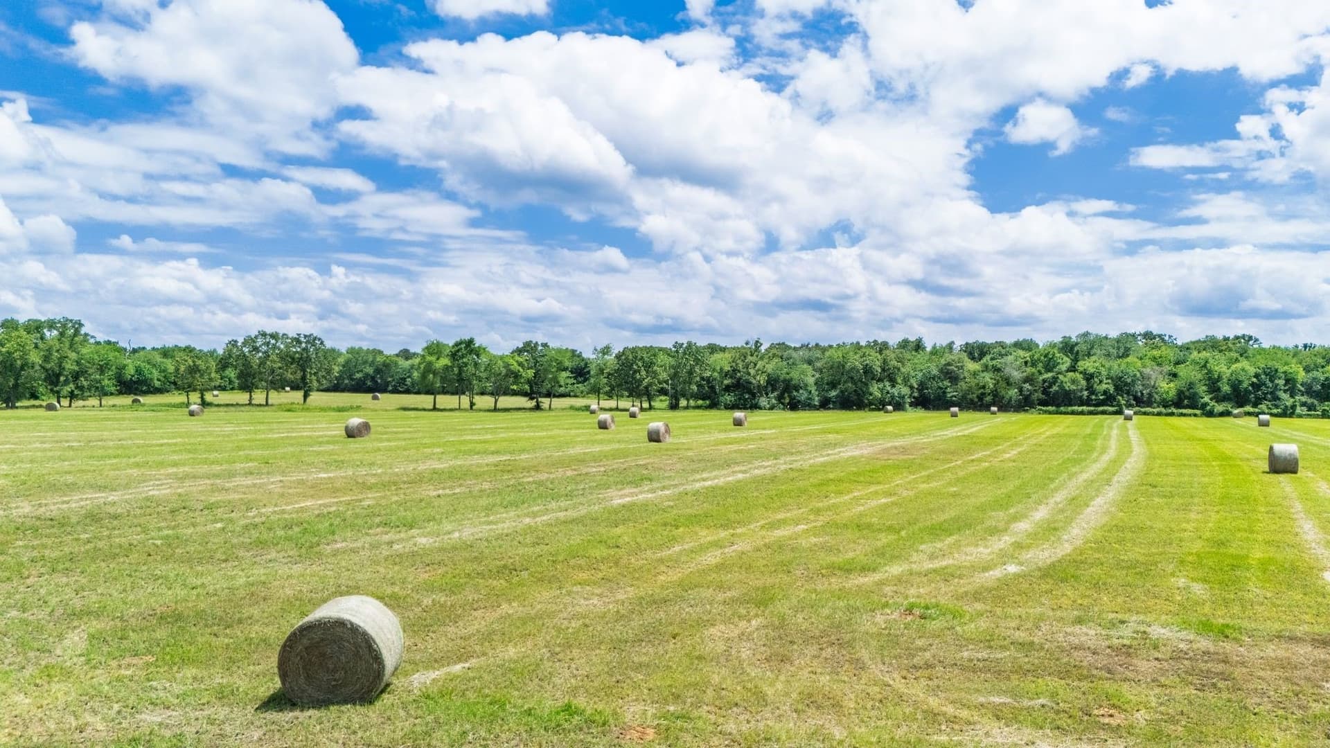 273.3 acres in Hopkins County - photo 11