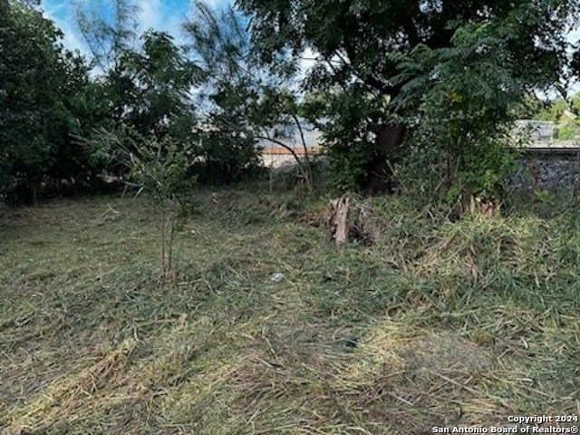 0.05 acres in Bexar County gallery image 4