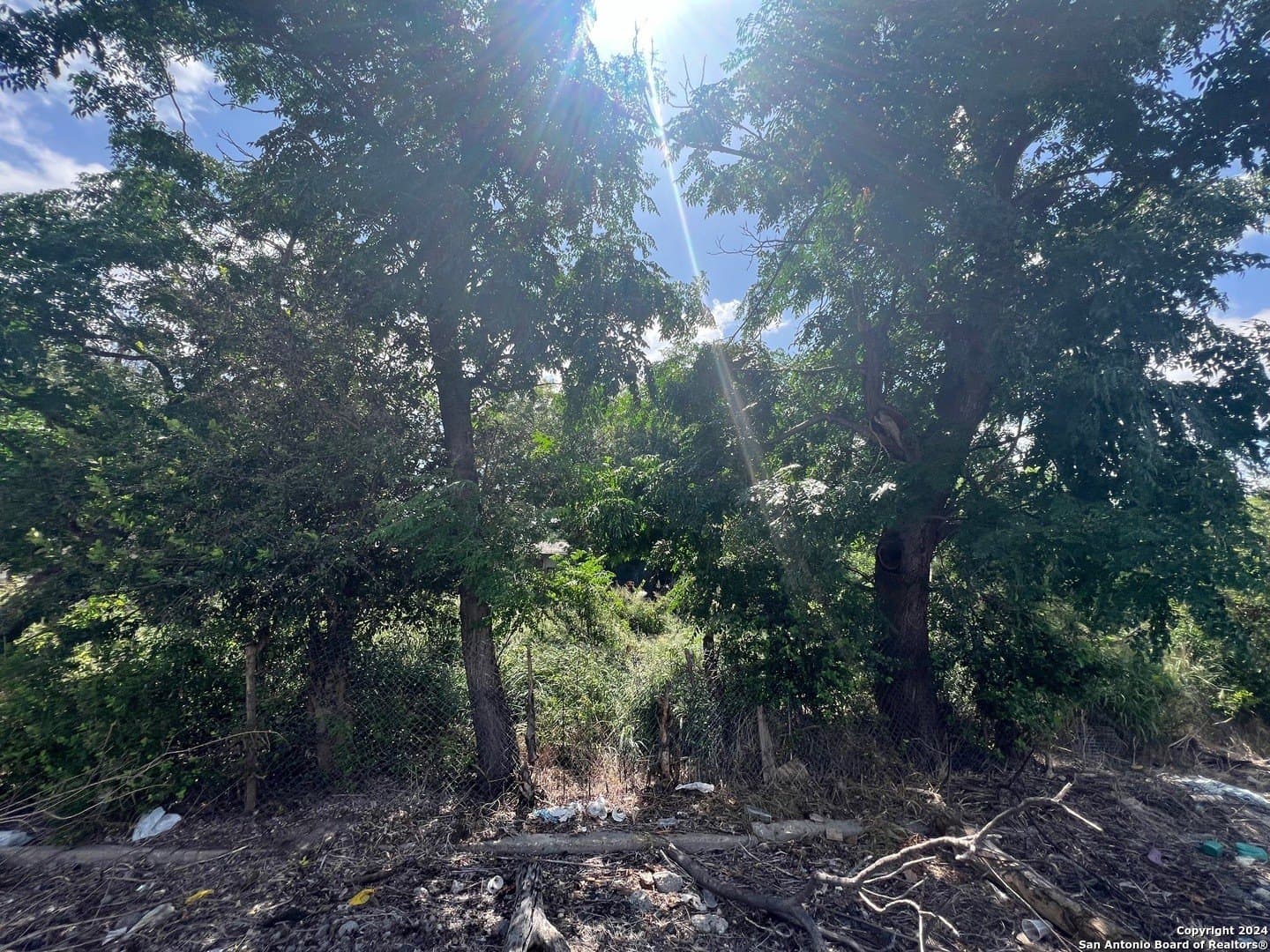 0.05 acres in Bexar County gallery image 3