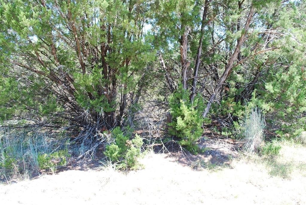 0.26 acres in Hill County gallery image 2