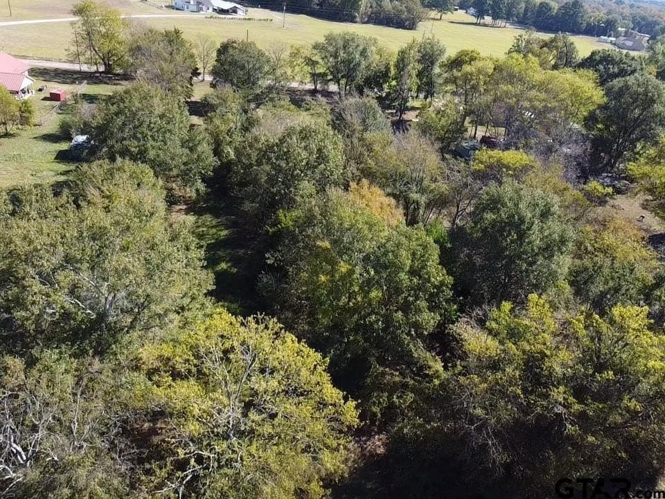 1.3 acres in Wood County - photo 8