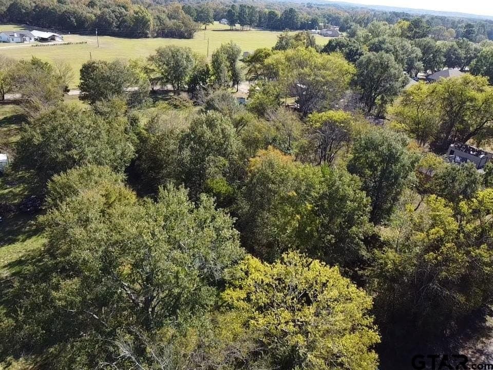 1.3 acres in Wood County - photo 7