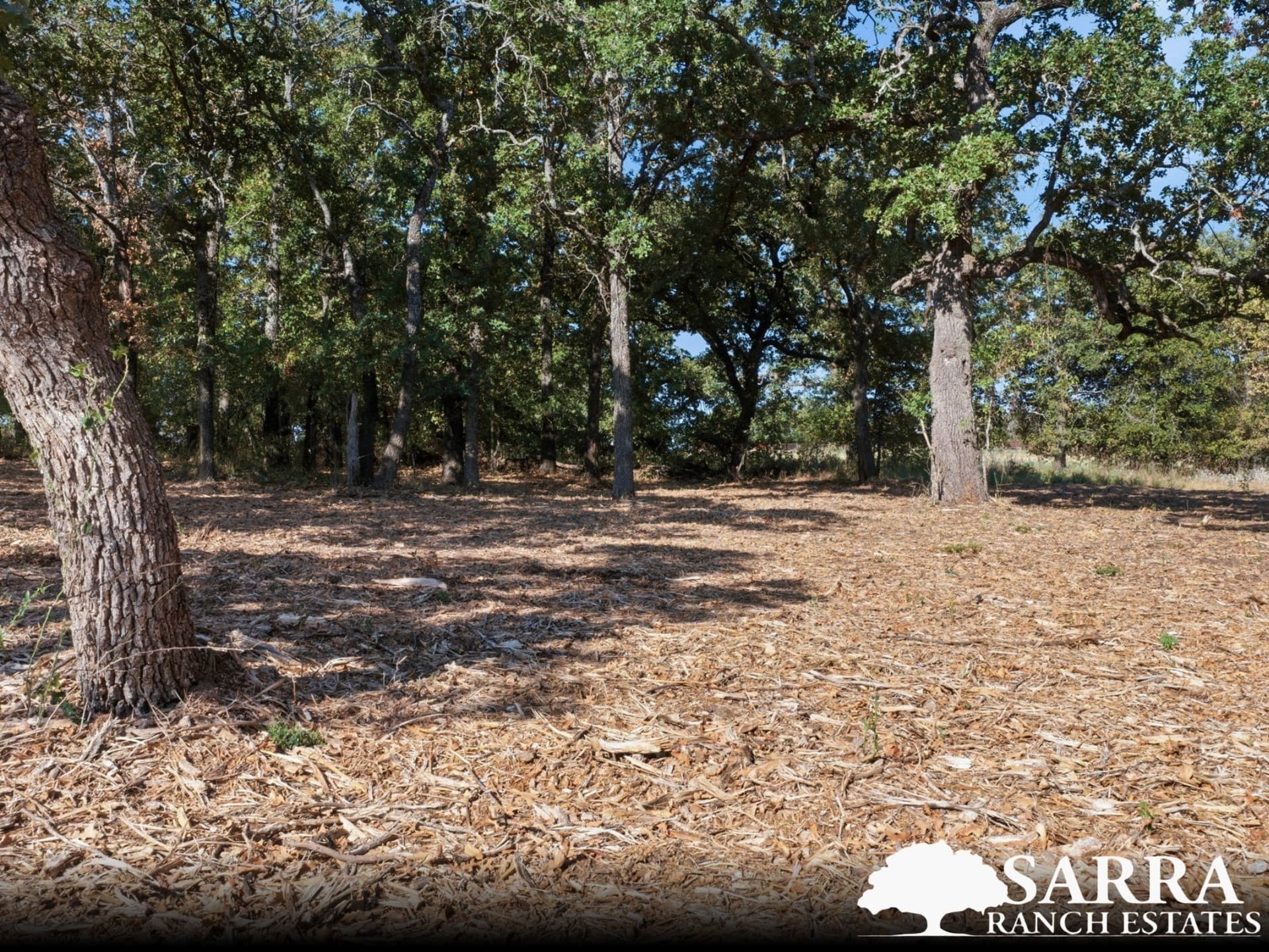 2 acres in Parker County - photo 4